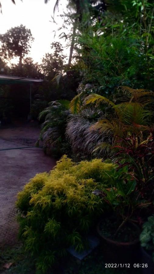 Fab Valley Homestay Munnar Exterior foto